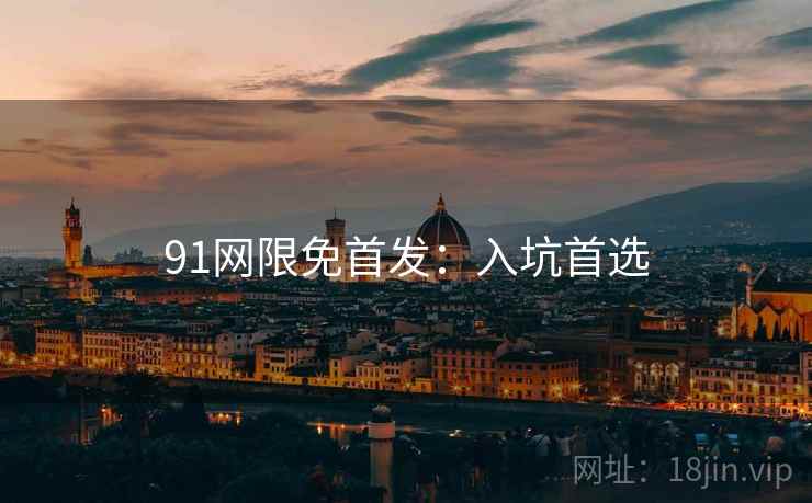 91网限免首发：入坑首选