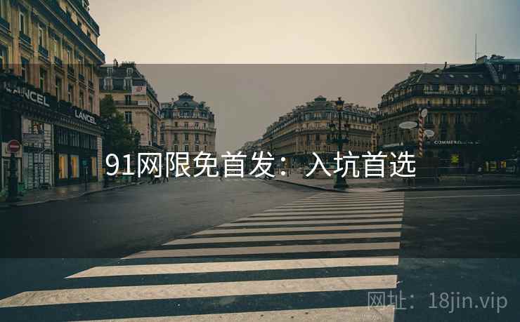91网限免首发：入坑首选