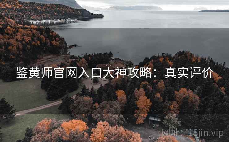 鉴黄师官网入口大神攻略：真实评价