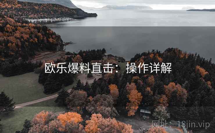 欧乐爆料直击：操作详解