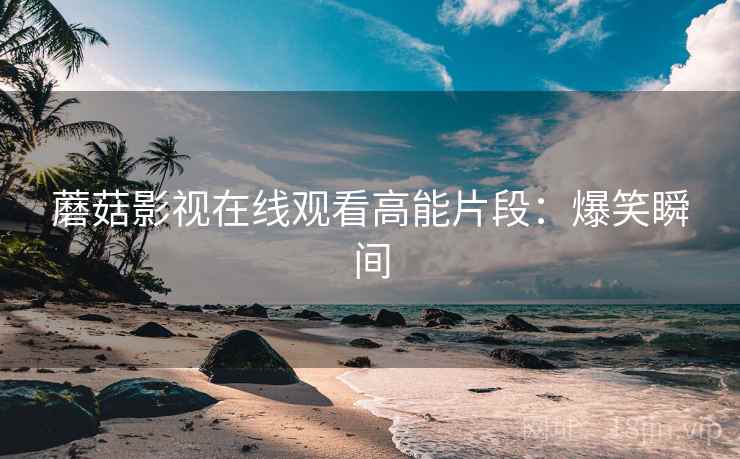 蘑菇影视在线观看高能片段：爆笑瞬间