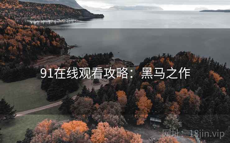 91在线观看攻略:黑马之作