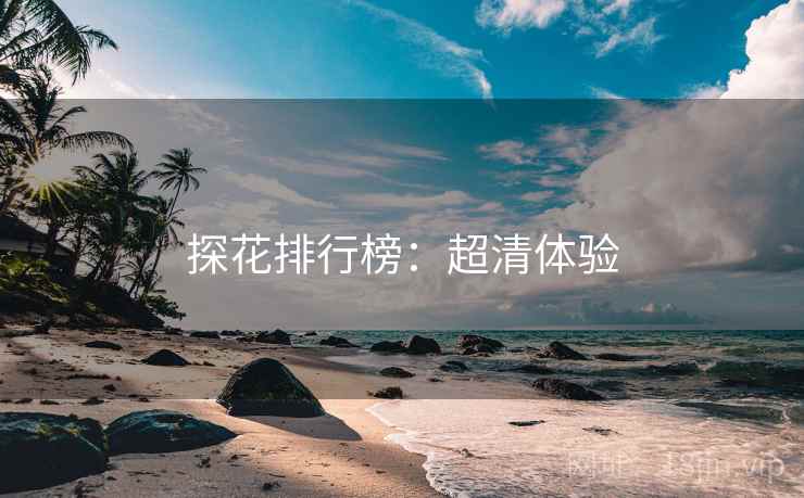 探花排行榜:超清体验
