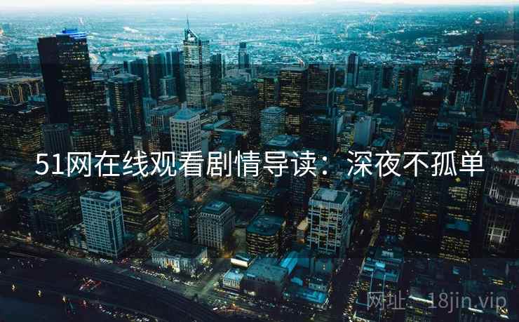 51网在线观看剧情导读:深夜不孤单