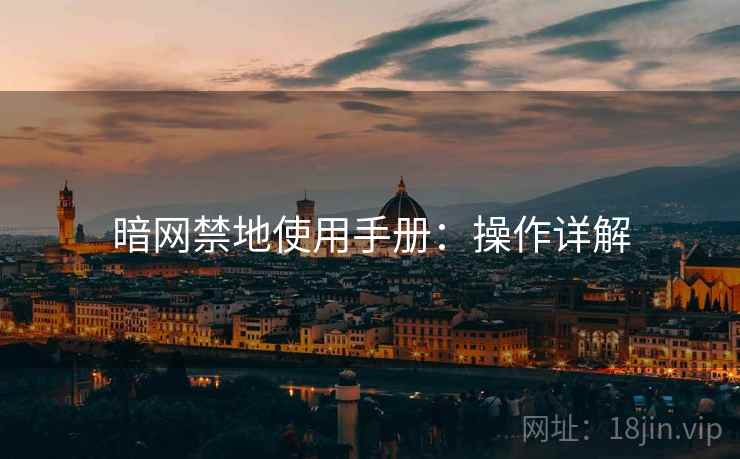 暗网禁地使用手册：操作详解